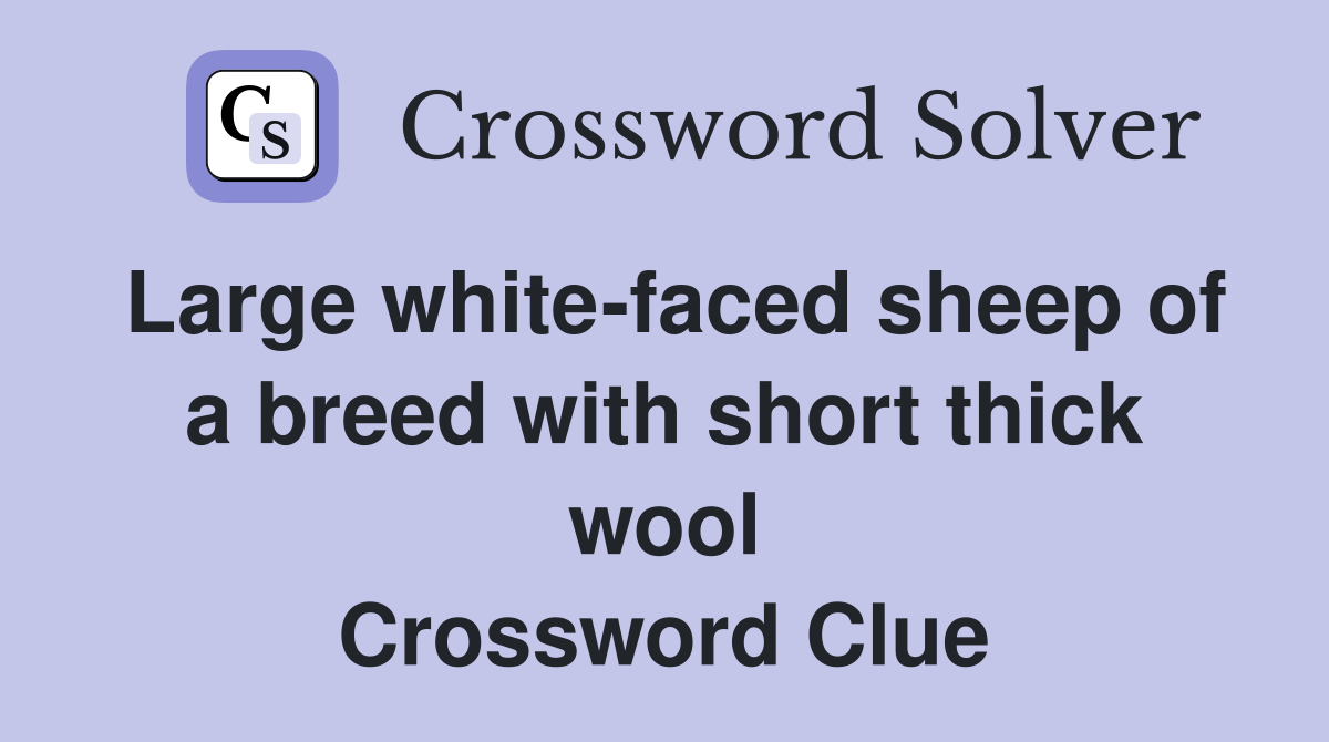 Large whitefaced sheep of a breed with short thick wool Crossword